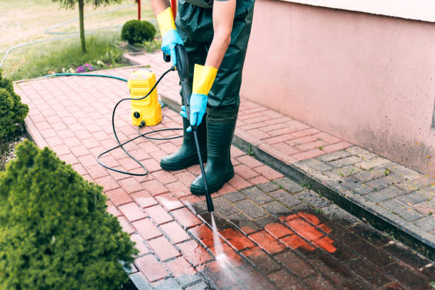 Best Best Pressure Washing Companies  in Fife Heights, WA