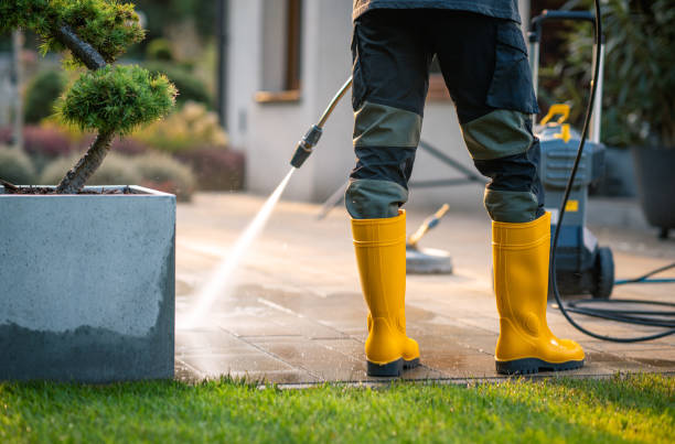 Best Pressure Washing Driveway  in Fife Heights, WA